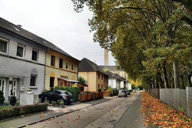 Beisenkampsfurth (Essen-Karnap) / 20.10.2021