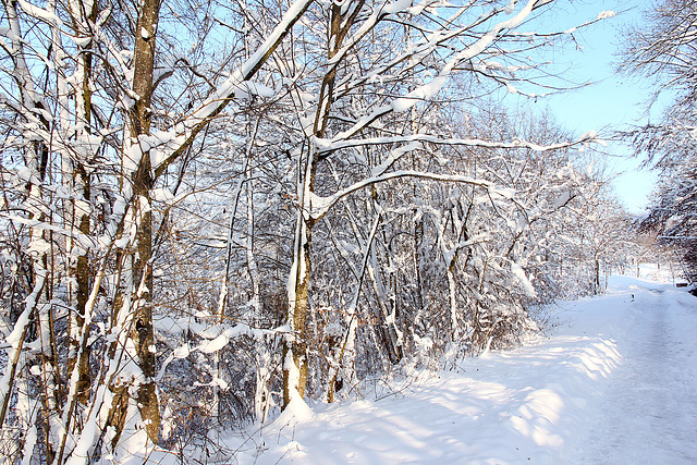 Winterwanderung am 1. Januar 2015
