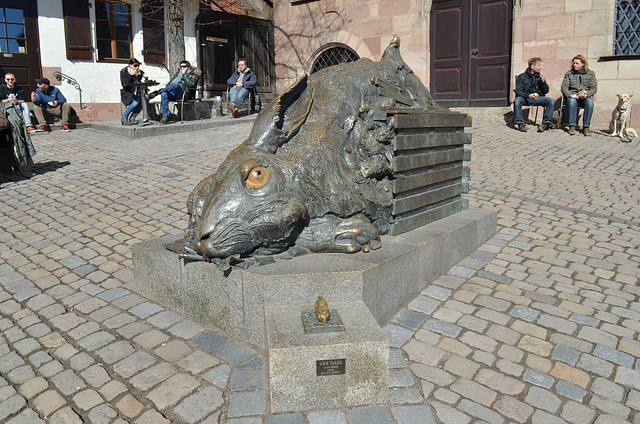 Nürnberg, Hare Dürer