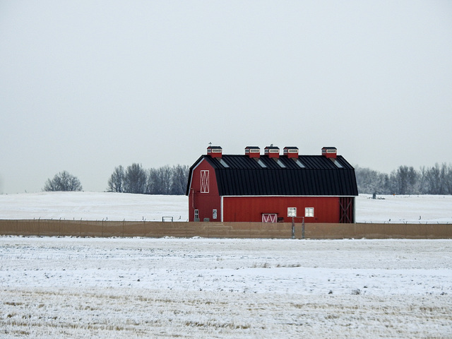 A welcome splash of red