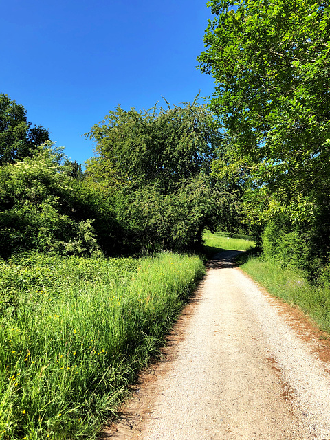 Auf dem medizinischen Kurwanderweg MK1 Blau