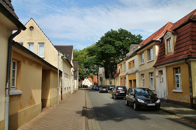 Burgsdorffstraße (Siedlung Fürst Leopold, Hervest-Dorsten) / 19.07.2020