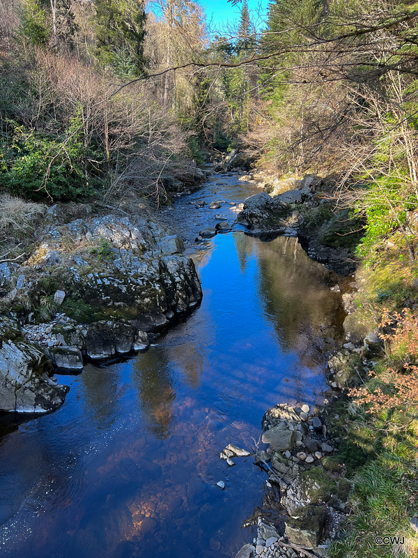 The River Dorback