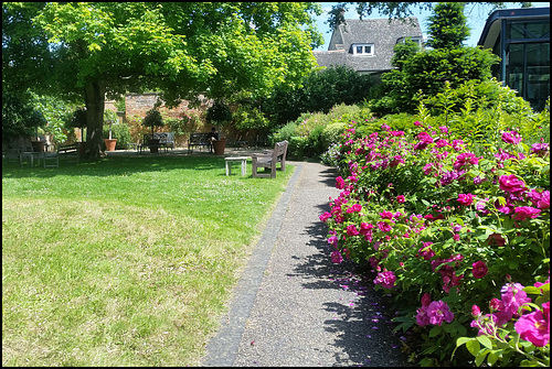 museum garden