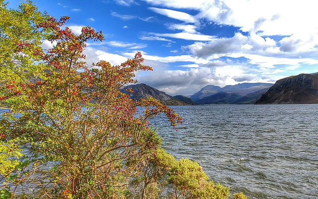Autumn Berries by Ennerdale Water, Lake District