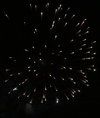 Bonfire night