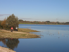 Looking North along Draycote Bank from the Western shore of Draycote Water.
