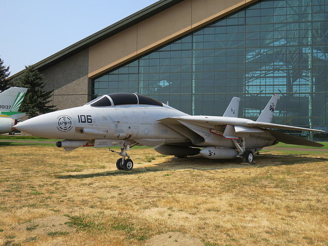 Grumman F-14D Super Tomcat