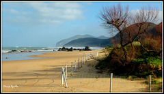 Playa de Trengandin