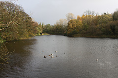 Tal-y-Garn Lake