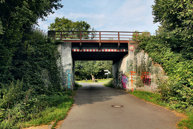 Tiergartenstraße, Brücke der Emschertalbahn (Castrop-Rauxel) / 3.08.2024