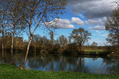 La Charente près de Saintes .