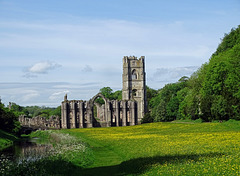 Fountains Abbey from the water meadows Fountains Abbey from the water meadows