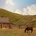 Hat Creek Ranch, BC