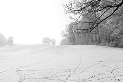 leichte Nebelschwaden ziehen auf  (in black and white)
