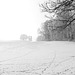 leichte Nebelschwaden ziehen auf  (in black and white)