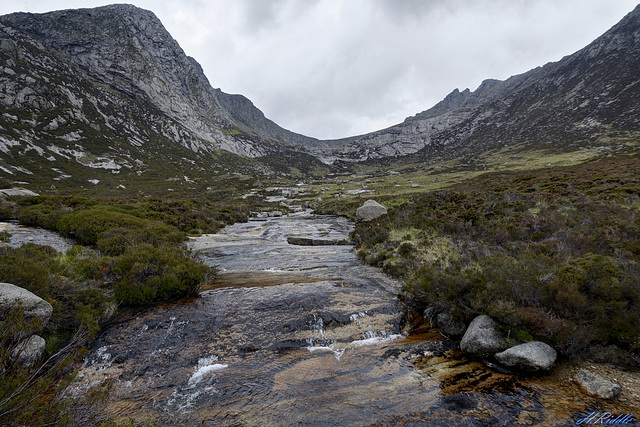 Up the glen