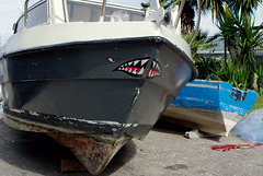 Shark boat at Castellammare