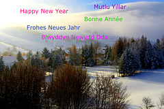 Happy New Year, Mutlu Yıllar!!