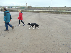 BtC - trotting down the beach