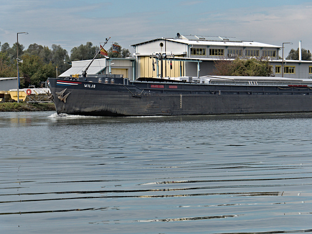 Schleuse Iffezheim