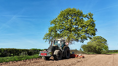 Working the fields