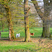weltervijver park weltervijver park