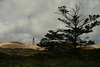 lighthouse in the dunes