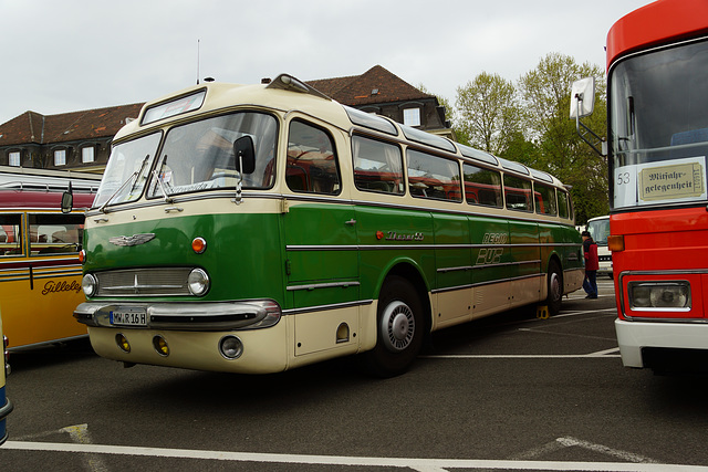 Omnibustreffen Sinsheim/Speyer 2017 504