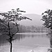 Hidden Lake 1971