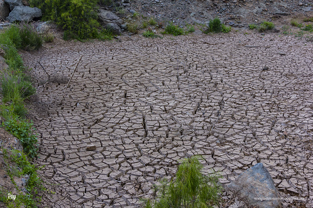 Cuarteado.