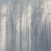 Moody blues . . .