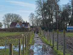 Muddy Footpath and Fields