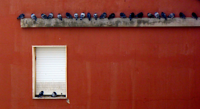 wall with visitors