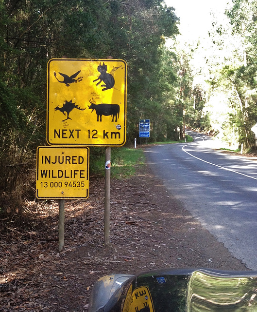 unusual road dangers