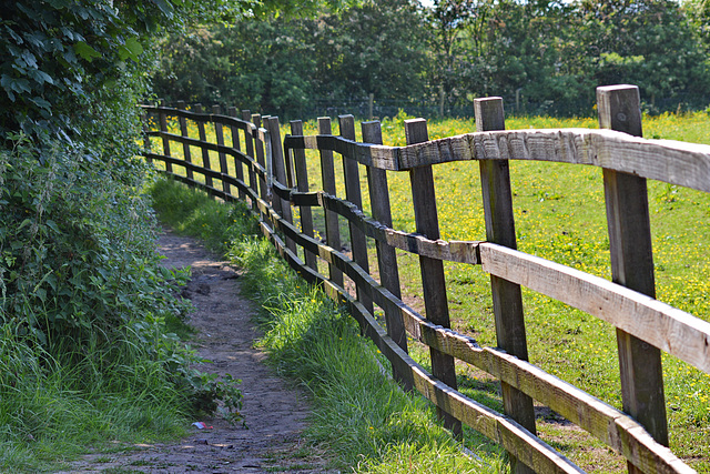 South side path