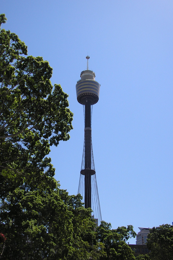 The Sydney Tower