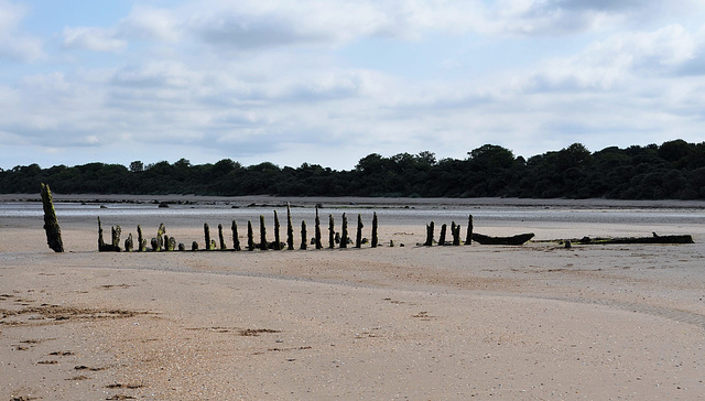 Scotland / Aberlady PiP