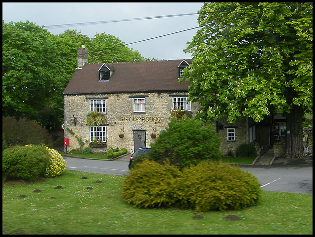 The Greyhound in spring