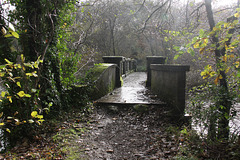 Tal-y-Garn Lake footbridge