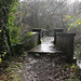 Tal-y-Garn Lake footbridge