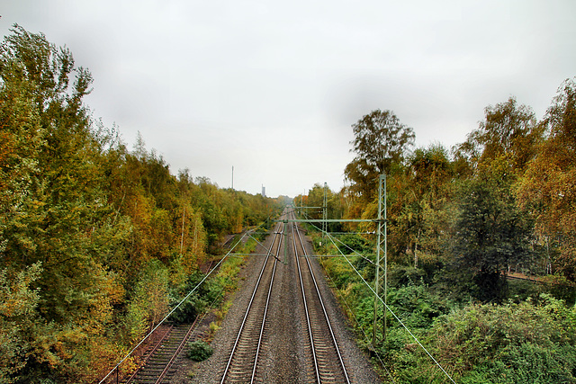 Die Emschertalbahn von der Fußgängerbrücke aus (Essen-Karnap) / 20.10.2021