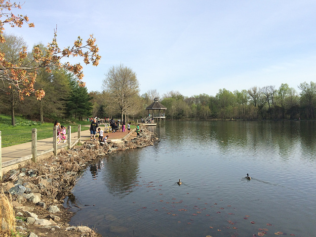 Lake Artemesia