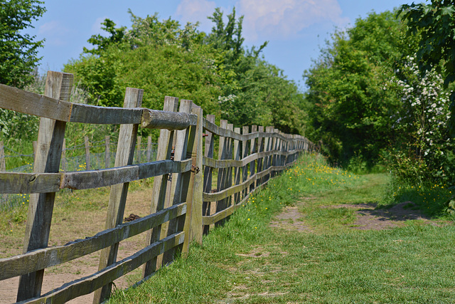 Fenced