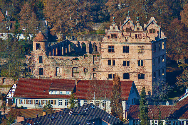 Klosterruine Hirsau [von oben]