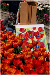 Un peintre et des tulipes