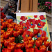 Un peintre et des tulipes