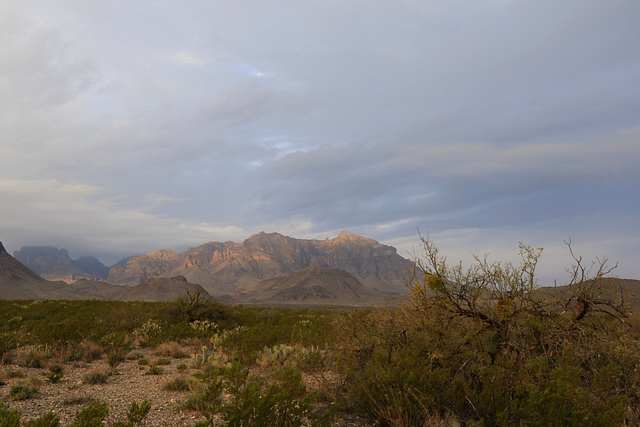 Chisos Mountains