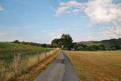 Alter Kohlenweg (Sprockhövel) / 16.08.2020