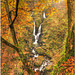 Stock Ghyll, Ambleside
